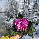 ���� Natali, ��������� - ��������� 22 ������� 2020 � ������ ���� ����������