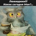 ���� Cristalic, ����������� - ��������� 28 ��� 2020 � ������ ������ ��������