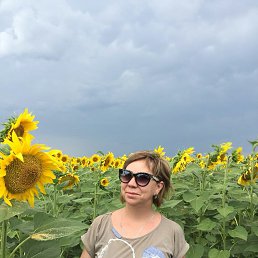 �������, ������, 54 ����