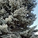 ���� �������, ��������� - ��������� 18 ����� 2020 � ������ ������������ � ��������