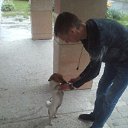 ���� �����, ������� - ��������� 21 ������ 2020