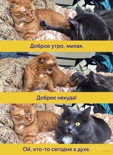 ����, ������ ������� ����� ������ ������������ - 5