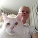 ���� �����, �����, 48 ��� - ��������� 16 ���� 2020