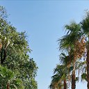���� �����, ����������, 49 ��� - ��������� 30 ���� 2020 � ������ ���� ����������