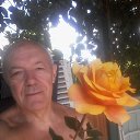 ���� Tolik, ���������, 72 ���� - ��������� 27 ������� 2020 � ������ ���� ����������