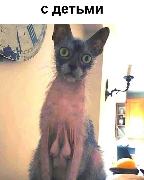    : - 2