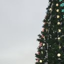 ���� Riche, ��������������, 36 ��� - ��������� 26 ������ 2020