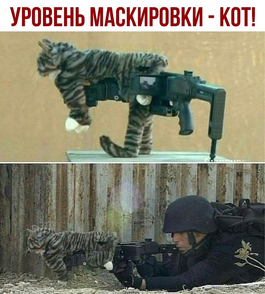 ������ - 19 ���� 2020 � 18:41