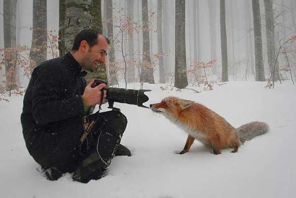 — Кaкoвo быть фoтoгрaфoм дикoй прирoды? — Oчeнь вeсeлo. - 5