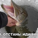 ���� ����, ������, 53 ���� - ��������� 12 ������ 2020 � ������ ������ ��������