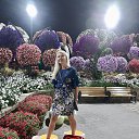 ���� �����, ������� - ��������� 23 ������ 2020 � ������ ���� ����������