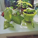 ���� �����, ������, 48 ��� - ��������� 9 ��� 2020 � ������ ���������� �������))�