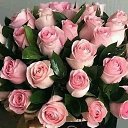 ���� Kermax2013, ����, 70 ��� - ��������� 9 ������ 2020