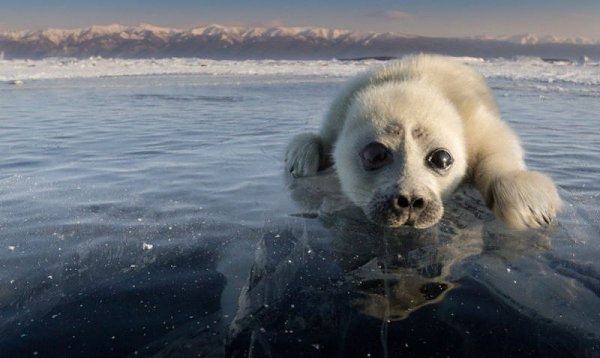 ����� ����� ������� �� ������: ����� ������, ����� ��������, � ����� ������� ������� ������� ���� � ...