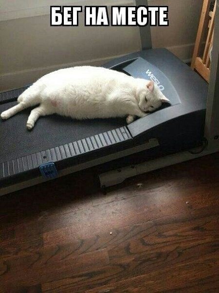    - 29  2020  19:06