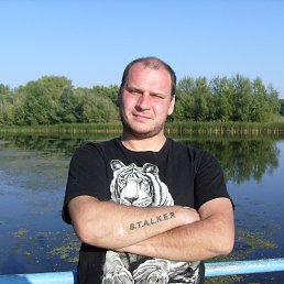 �����, �������, 43 ����