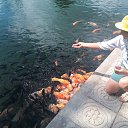 ���� �����, ���������, 66 ��� - ��������� 7 ������ 2020 � ������ ���� ����������