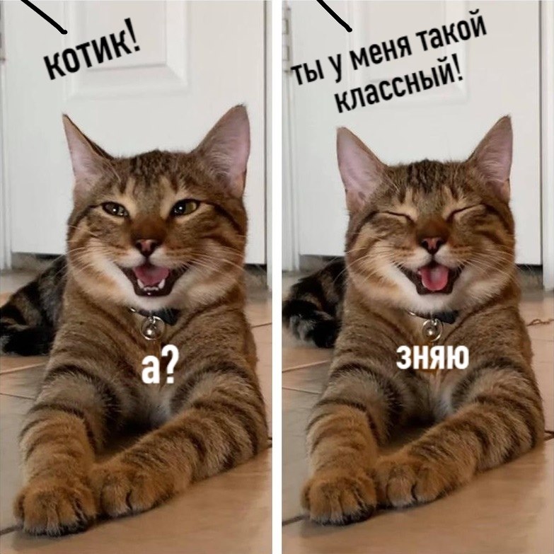  - 19  2020  18:29