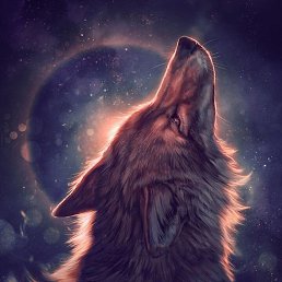 ���� �������, ����, 49 ��� - ��������� 22 ��� 2020