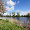  Petras, , 66  -  12  2020    