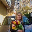 ���� ������ �����, ��������� - ��������� 17 ����� 2020 � ������ ���� ����������