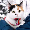 ���� Eva, ������������, 57 ��� - ��������� 21 ��� 2020 � ������ ���� ����������