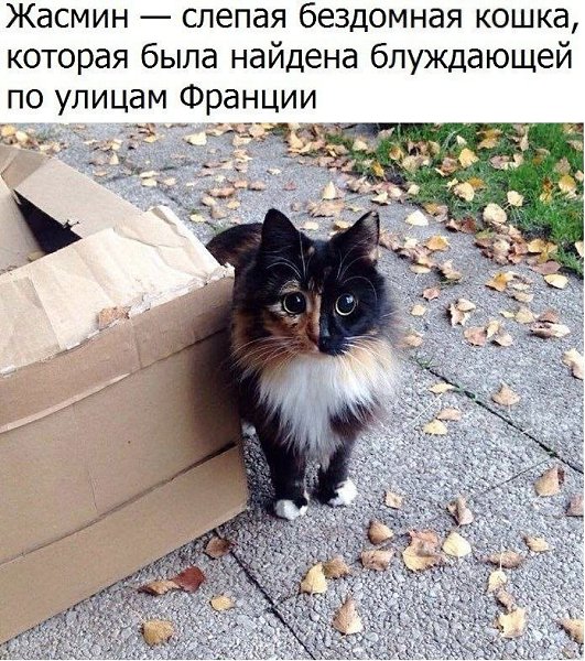 ������� - 21 ������� 2020 � 18:27