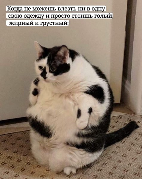 ������� - 12 ������ 2020 � 19:13