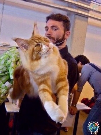 oo ocop a a pap oa oo -o! # - 4