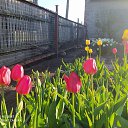 ���� ����, ������������, 62 ���� - ��������� 17 ��� 2020 � ������ �������