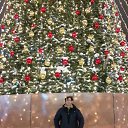 ���� ������, ���������, 48 ��� - ��������� 7 ������� 2020 � ������ ���� ����������