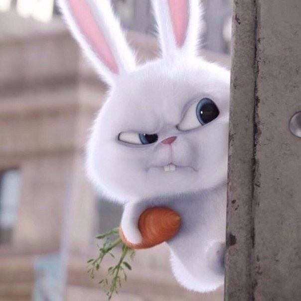  - ..     .   .