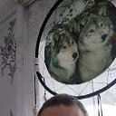 ���� ������, �����, 54 ���� - ��������� 29 ����� 2020 � ������ ���� ����������