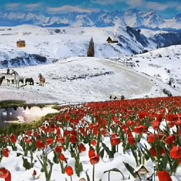 ���������, ������, 25 ���