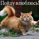 ���� Host, ����, 61 ��� - ��������� 31 ���� 2020 � ������ ���� ����������