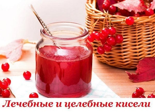 ЛЕЧЕБНЫЕ КИСЕЛИ И ОТВАРЫ: