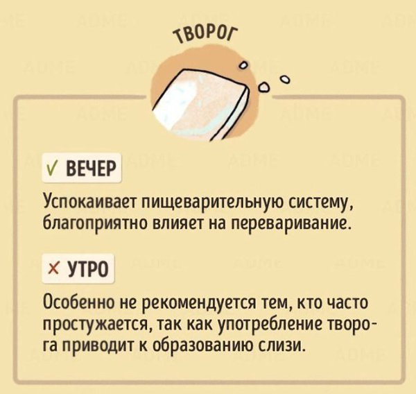 Правильное время для употребления продуктов На заметку. - 6