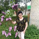 ���� �����, ����, 71 ��� - ��������� 13 ��� 2020 � ������ ���� ����������