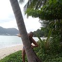 ���� �������, �����������, 62 ���� - ��������� 29 ������ 2020 � ������ ���� ����������