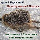 ���� ������, ����������, 56 ��� - ��������� 18 ������ 2020 � ������ ���� ����������