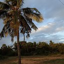 ���� ����, ��������� - ��������� 25 ������� 2020 � ������ �����