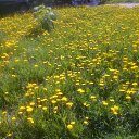  , -, 25  -  18  2020    