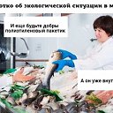  ,  -  11  2020    