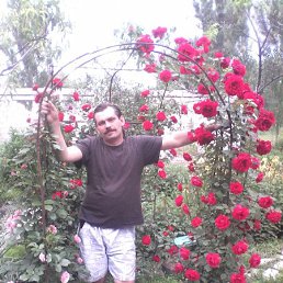 �������, �����, 48 ���