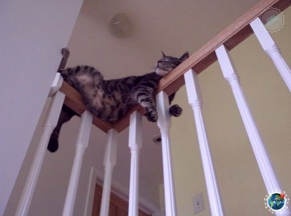   : e  - a  , e   e ! - 10