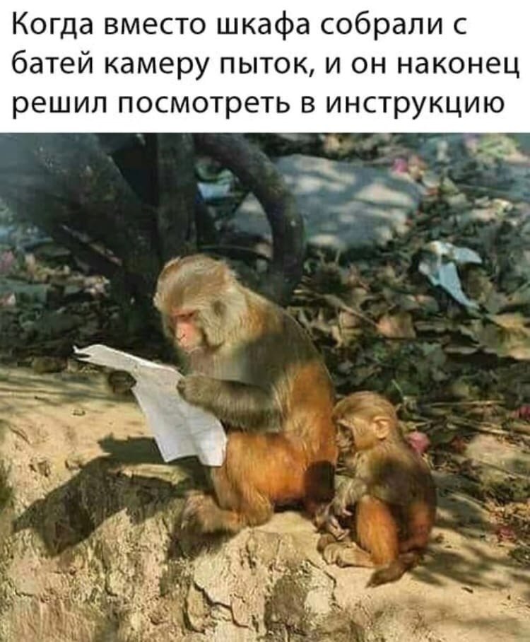  !     ?))