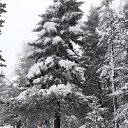 ���� ����, ��������� - ��������� 22 ������� 2020 � ������ ���� ����������