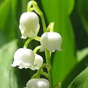 ���� Severnaya, ������ �������� - ��������� 4 ��� 2020 � ������ ������ ��������