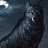 ���� Wolfgrey, �������, 42 ���� - ��������� 20 ������ 2020