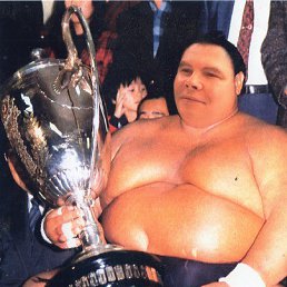 ����, �������������-����������, 67 ���